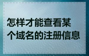 怎样才能查看某个域名的注册信息