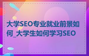 大学SEO专业就业前景如何_大学生如何学习SEO
