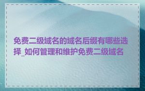 免费二级域名的域名后缀有哪些选择_如何管理和维护免费二级域名