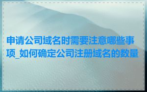 申请公司域名时需要注意哪些事项_如何确定公司注册域名的数量
