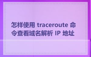 怎样使用 traceroute 命令查看域名解析 IP 地址