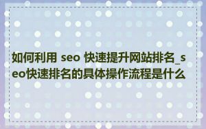 如何利用 seo 快速提升网站排名_seo快速排名的具体操作流程是什么