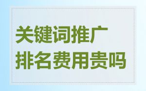 关键词推广排名费用贵吗
