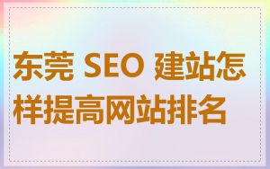 东莞 SEO 建站怎样提高网站排名