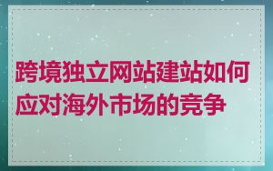 跨境独立网站建站如何应对海外市场的竞争