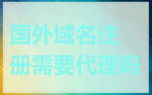 国外域名注册需要代理吗