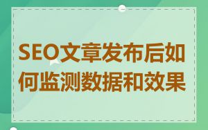 SEO文章发布后如何监测数据和效果