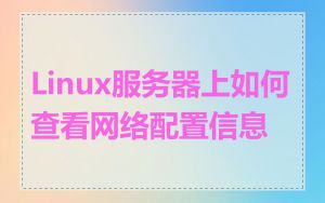 Linux服务器上如何查看网络配置信息