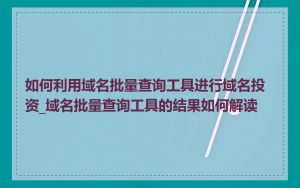 如何利用域名批量查询工具进行域名投资_域名批量查询工具的结果如何解读