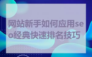 网站新手如何应用seo经典快速排名技巧