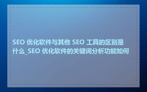 SEO 优化软件与其他 SEO 工具的区别是什么_SEO 优化软件的关键词分析功能如何