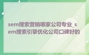 sem搜索营销哪家公司专业_sem搜索引擎优化公司口碑好的