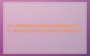 SEO 程序员如何与内容团队和营销团队协作_SEO 程序员如何分析和优化网站的内部链接结构