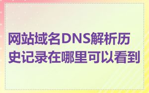 网站域名DNS解析历史记录在哪里可以看到