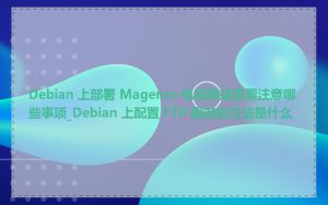 Debian 上部署 Magento 电商网站需要注意哪些事项_Debian 上配置 FTP 服务的方法是什么