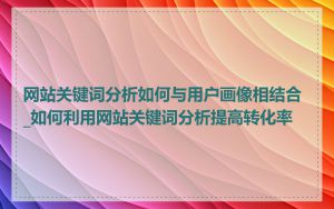网站关键词分析如何与用户画像相结合_如何利用网站关键词分析提高转化率