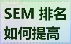 SEM 排名如何提高