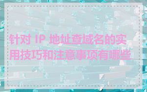 针对 IP 地址查域名的实用技巧和注意事项有哪些