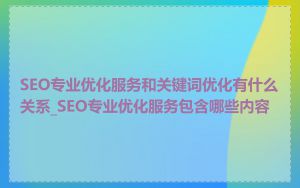 SEO专业优化服务和关键词优化有什么关系_SEO专业优化服务包含哪些内容