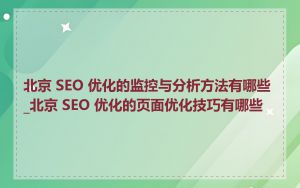 北京 SEO 优化的监控与分析方法有哪些_北京 SEO 优化的页面优化技巧有哪些