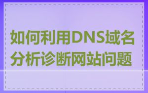 如何利用DNS域名分析诊断网站问题