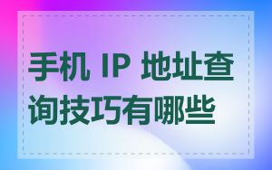 手机 IP 地址查询技巧有哪些