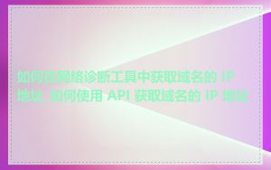如何在网络诊断工具中获取域名的 IP 地址_如何使用 API 获取域名的 IP 地址