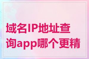 域名IP地址查询app哪个更精准