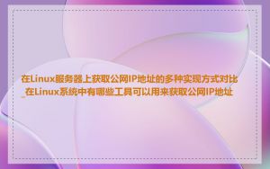 在Linux服务器上获取公网IP地址的多种实现方式对比_在Linux系统中有哪些工具可以用来获取公网IP地址