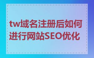 tw域名注册后如何进行网站SEO优化