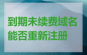 到期未续费域名能否重新注册