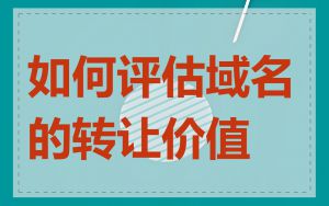 如何评估域名的转让价值