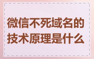 微信不死域名的技术原理是什么