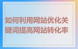 如何利用网站优化关键词提高网站转化率