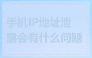 手机IP地址泄露会有什么问题
