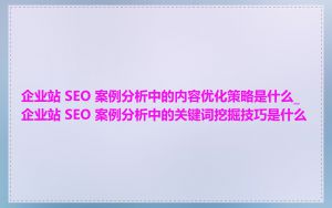 企业站 SEO 案例分析中的内容优化策略是什么_企业站 SEO 案例分析中的关键词挖掘技巧是什么