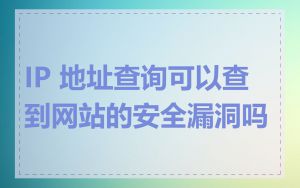 IP 地址查询可以查到网站的安全漏洞吗