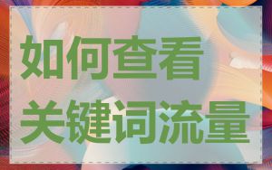 如何查看关键词流量