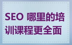 SEO 哪里的培训课程更全面