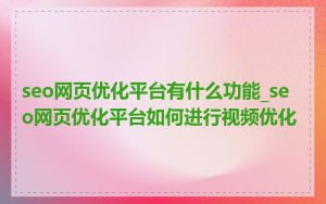 seo网页优化平台有什么功能_seo网页优化平台如何进行视频优化