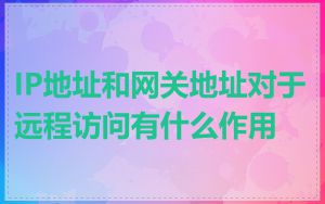 IP地址和网关地址对于远程访问有什么作用