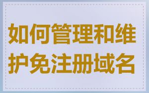 如何管理和维护免注册域名
