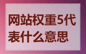 网站权重5代表什么意思
