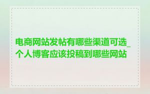 电商网站发帖有哪些渠道可选_个人博客应该投稿到哪些网站