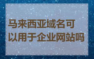 马来西亚域名可以用于企业网站吗