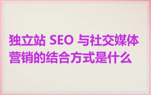 独立站 SEO 与社交媒体营销的结合方式是什么