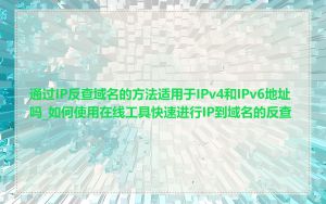 通过IP反查域名的方法适用于IPv4和IPv6地址吗_如何使用在线工具快速进行IP到域名的反查