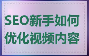 SEO新手如何优化视频内容