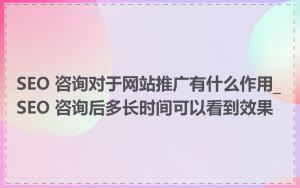 SEO 咨询对于网站推广有什么作用_SEO 咨询后多长时间可以看到效果