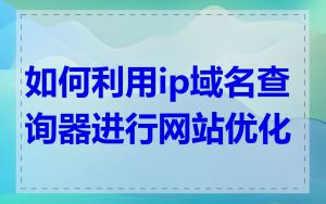 如何利用ip域名查询器进行网站优化